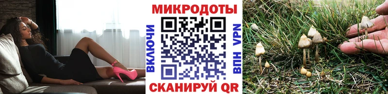 Галлюциногенные грибы GOLDEN TEACHER  Сертолово 